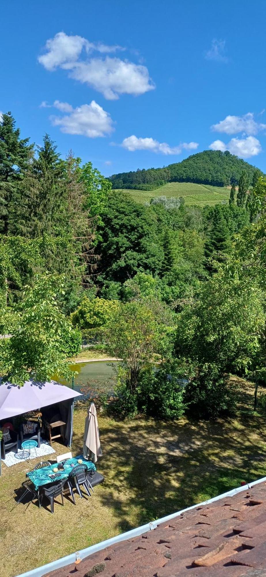 Studio Dans Belle Maison Ancienne Et Jardin Ferme L'Etoile  Esterno foto