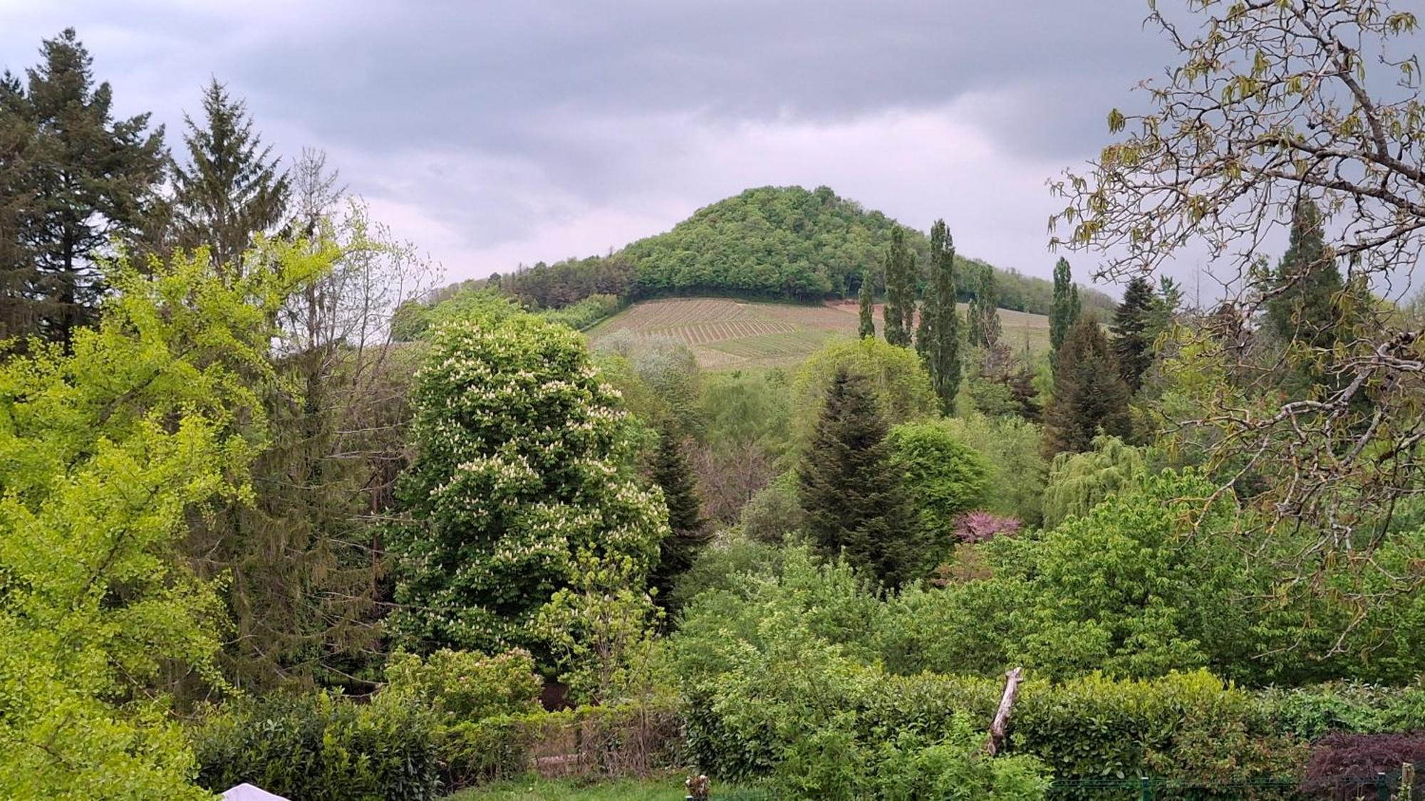 Studio Dans Belle Maison Ancienne Et Jardin Ferme L'Etoile  Esterno foto